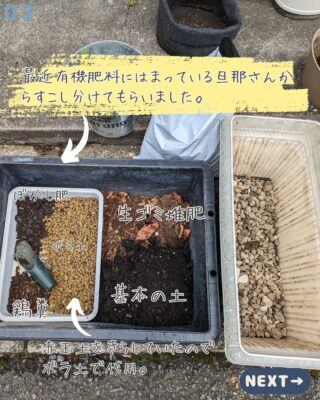 生ゴミ堆肥を使った土