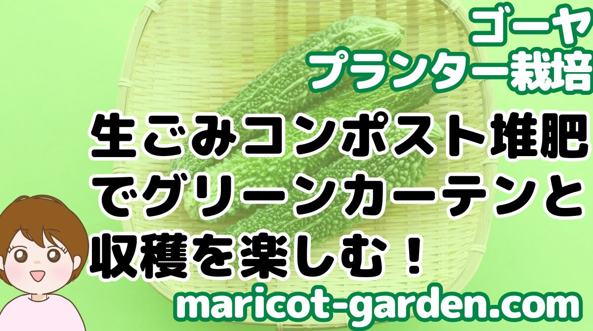 【ゴーヤ】生ごみコンポスト堆肥でグリーンカーテンと収穫を楽しむ！無農薬でのゴーヤ栽培記録 プランター栽培