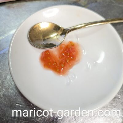 ミニトマトの種