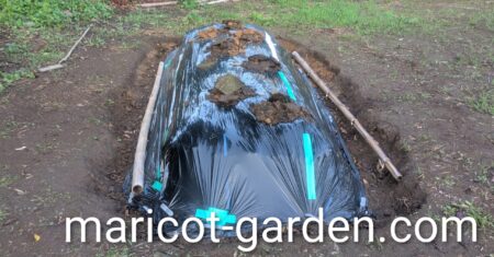 菌ちゃん農法の高畝にマルチを被せました