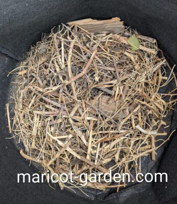 不織布プランターで菌ちゃん農法