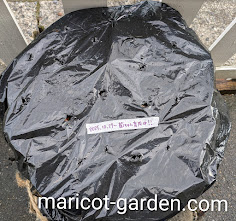 菌ちゃん農法　不織布プランター