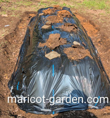 菌ちゃん農法の高畝