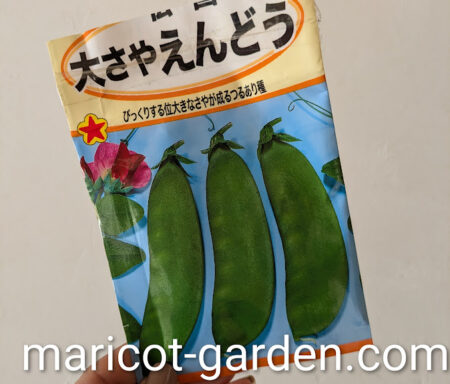 大さやえんどうの種