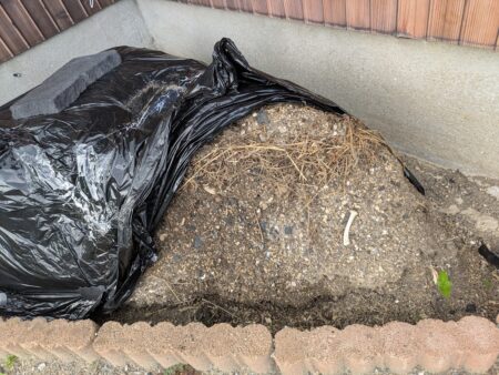 菌ちゃん農法花壇の経過