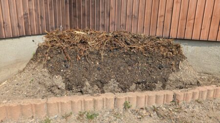 高畝にお水を与えた様子。