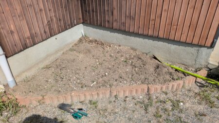 生えていた植物を抜いた様子