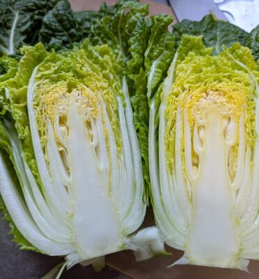 白菜の断面