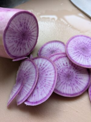 菌ちゃん農法　不織布プランター　大根収穫