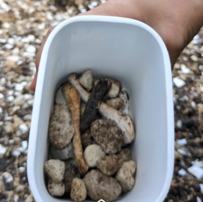 ヨーグルト容器　再利用　0円プランター　作り方