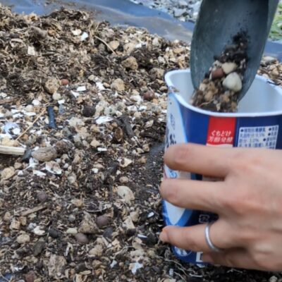 ヨーグルト容器　再利用　プランター　土入れ
