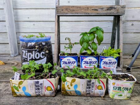 ０円プランター　家庭菜園　作り方