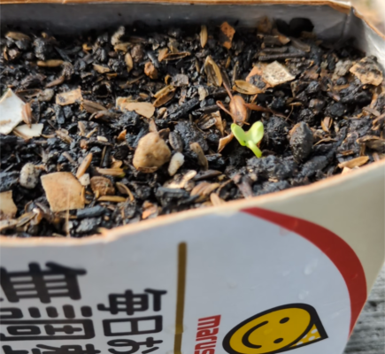豆乳パックプランター 0円プランター 作り方