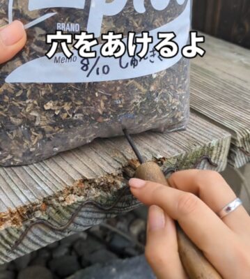 ジップロック　再利用　プランター　作り方