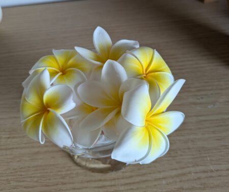 プルメリアの花